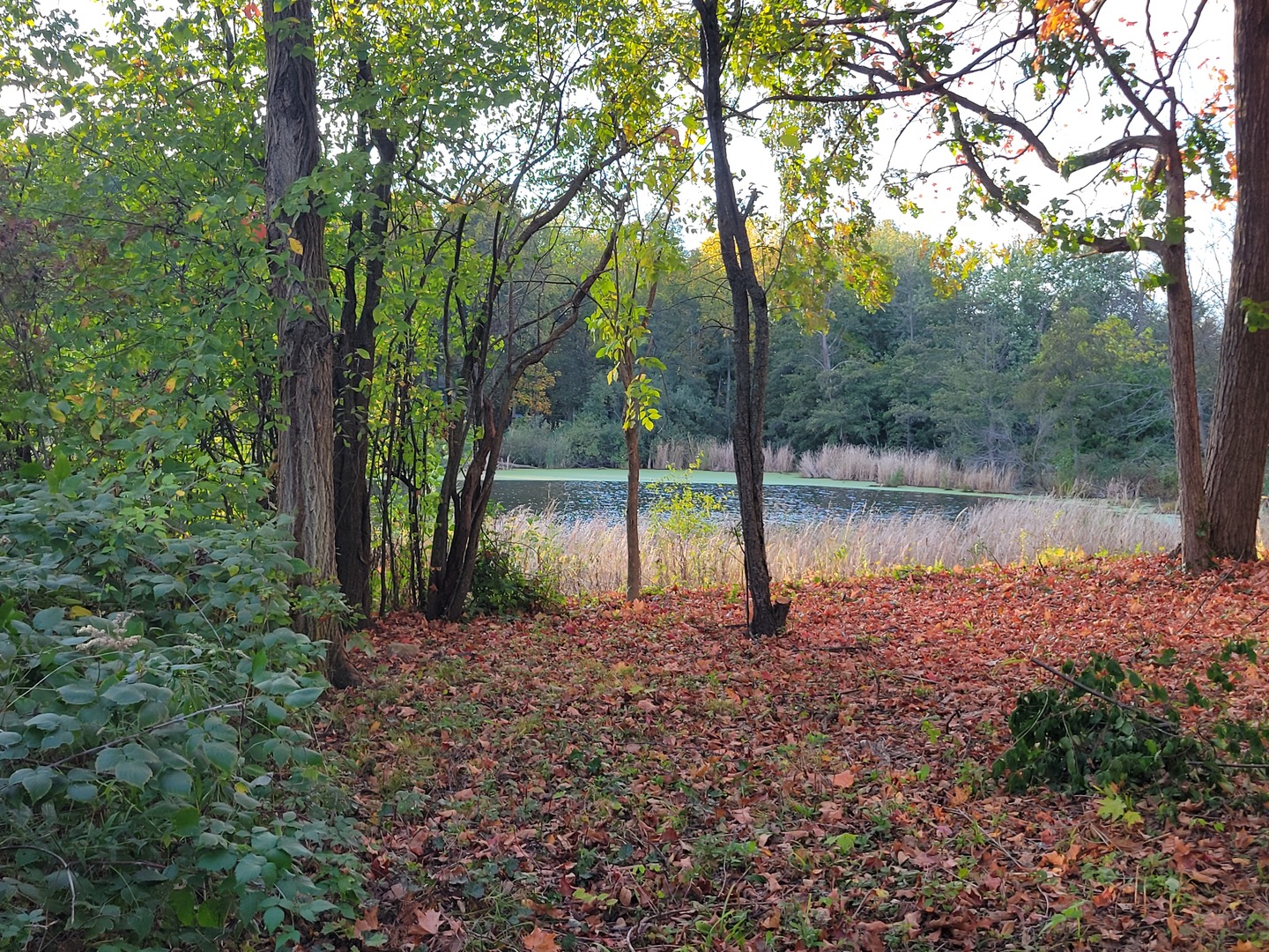 76 Whittington Course