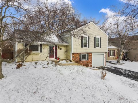 Tiny photo for 113 Wallace Street, Bartlett, IL 60103 (MLS # 12540248)
