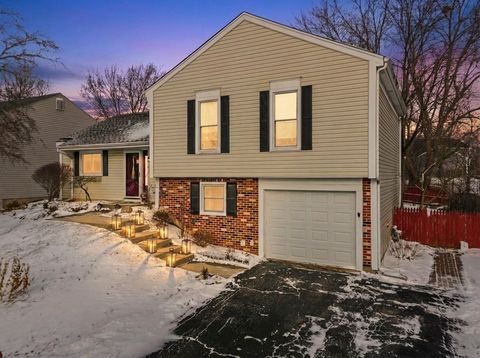 Tiny photo for 113 Wallace Street, Bartlett, IL 60103 (MLS # 12540248)