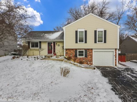Tiny photo for 113 Wallace Street, Bartlett, IL 60103 (MLS # 12540248)