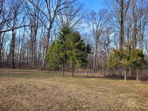 Tiny photo for 5531 N Hickory Lane, Bonnie, IL 62816 (MLS # 100000044)