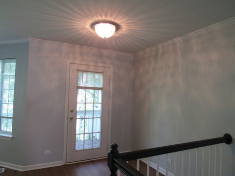 Tiny photo for 255 W Treehouse Lane W, Round Lake, IL 60073 (MLS # 12688521)