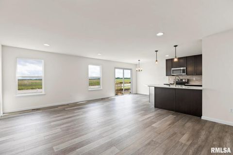 Tiny photo for 701 WILLIAMS Way, Carbon Cliff, IL 61239 (MLS # QC4265448)