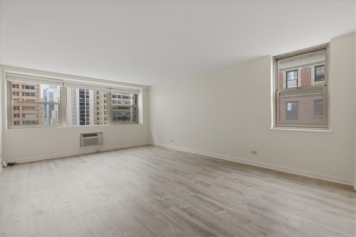 253 E Delaware Place 12H