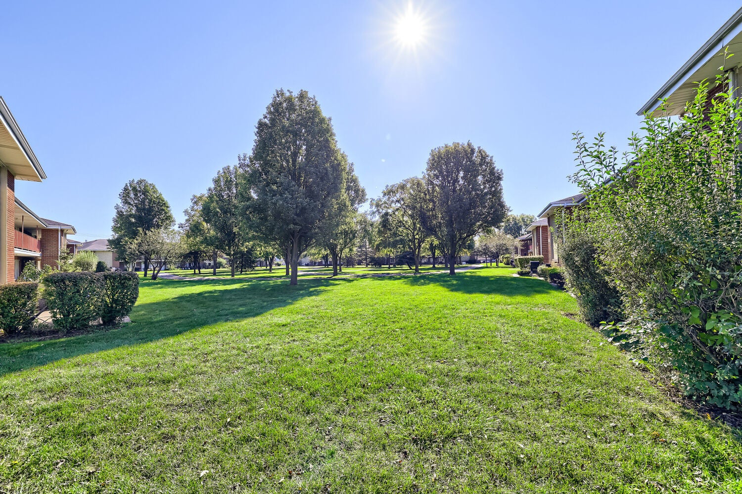 1101 E Algonquin Road 6