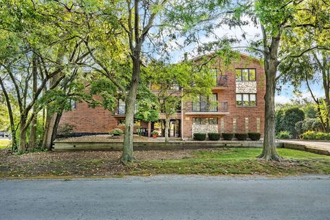 A home in Palos Heights