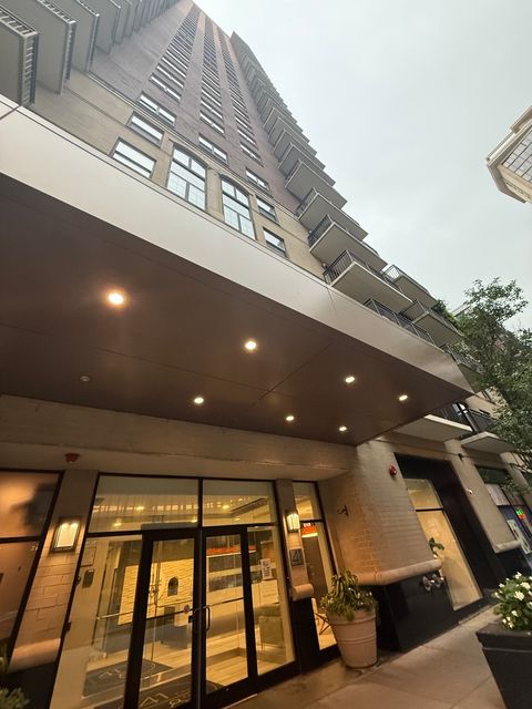 41 E 8th Street 3006 Chicago IL 60605