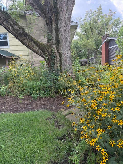 Tiny photo for 806 Kimberly Way, Lisle, IL 60532 (MLS # 12785838)
