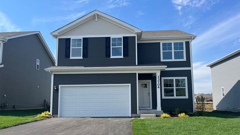Photo of 13704 S Palmetto Drive, Plainfield, IL 60544 (MLS # 12456176)