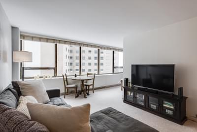 2800 N Lake Shore Drive 813