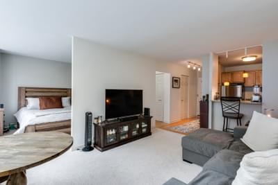 2800 N Lake Shore Drive 813