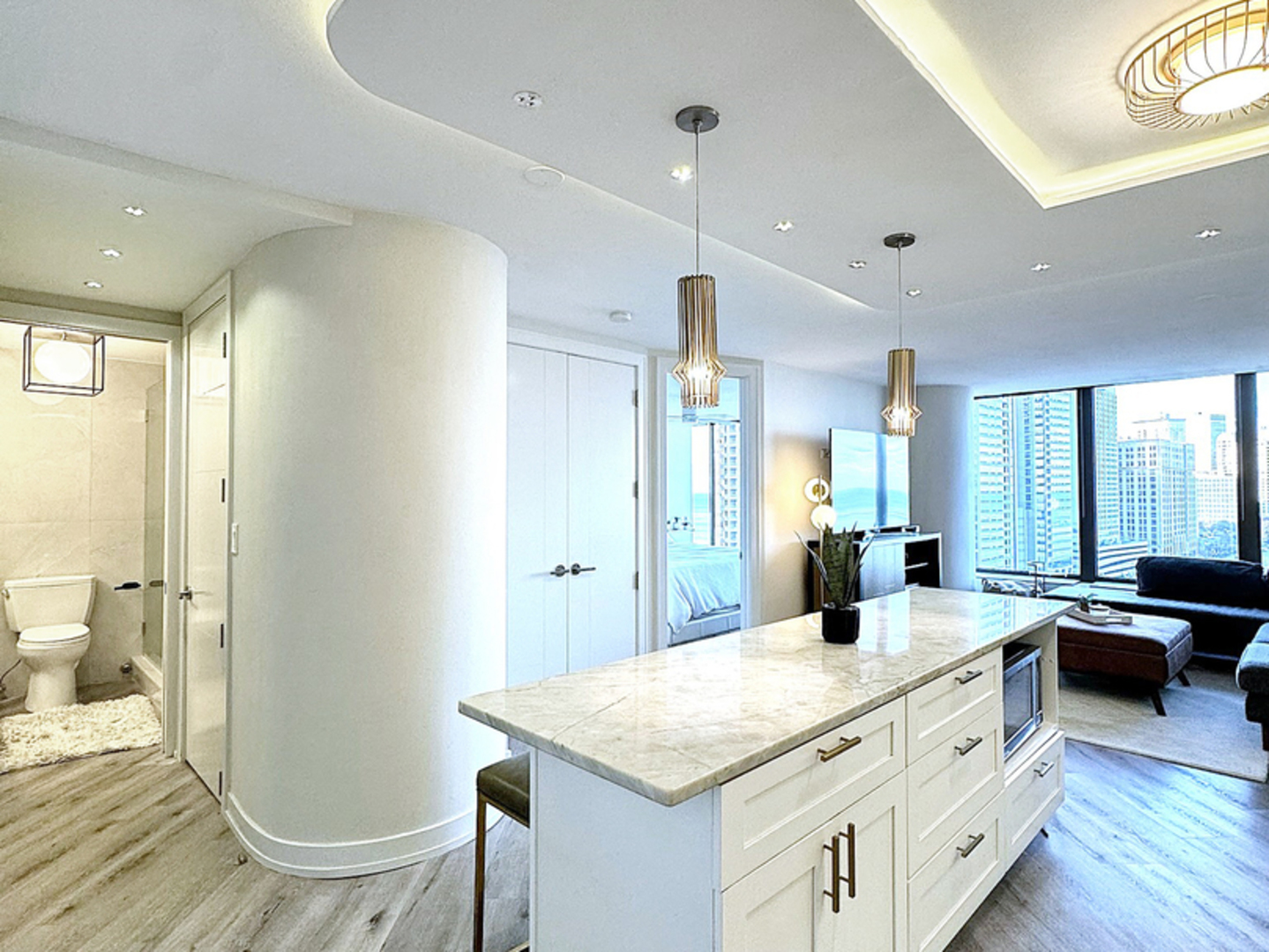 505 N Lake Shore Drive 1317