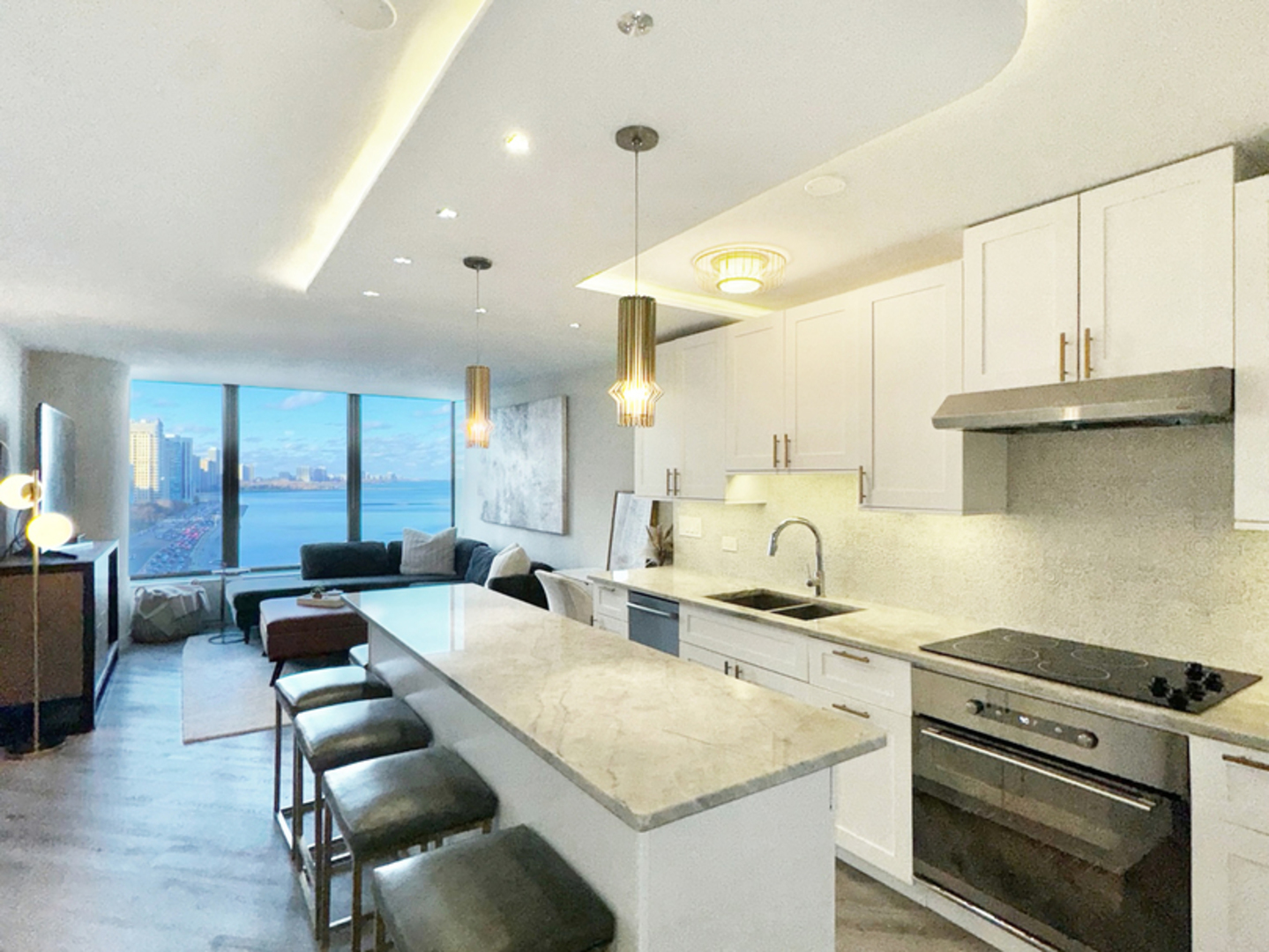 505 N Lake Shore Drive 1317