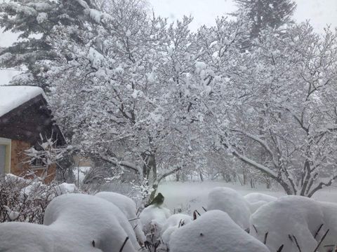 Tiny photo for 4925 Grand Avenue, Western Springs, IL 60558 (MLS # 12539900)