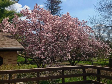 Tiny photo for 4925 Grand Avenue, Western Springs, IL 60558 (MLS # 12539900)