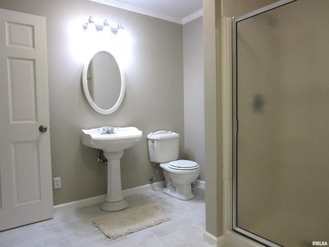 Tiny photo for 1253 County Road 800 E, Carmi, IL 62821 (MLS # EB457592)