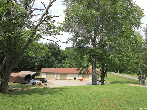 Tiny photo for 1253 County Road 800 E, Carmi, IL 62821 (MLS # EB457592)