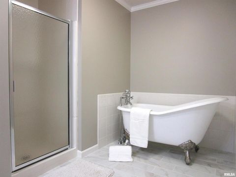 Tiny photo for 1253 County Road 800 E, Carmi, IL 62821 (MLS # EB457592)