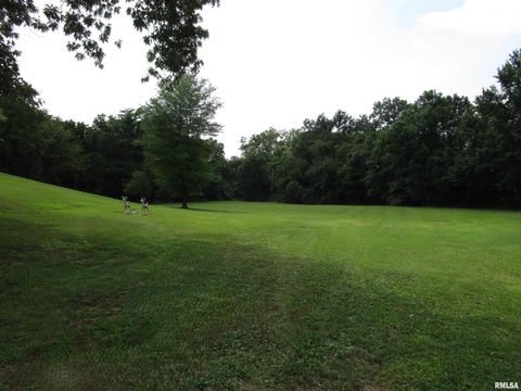 Tiny photo for 1253 County Road 800 E, Carmi, IL 62821 (MLS # EB457592)