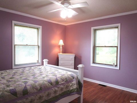 Tiny photo for 1253 County Road 800 E, Carmi, IL 62821 (MLS # EB457592)