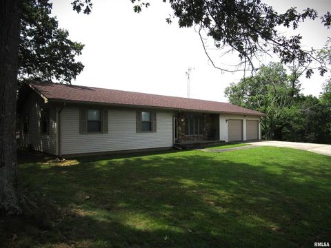 Tiny photo for 1253 County Road 800 E, Carmi, IL 62821 (MLS # EB457592)