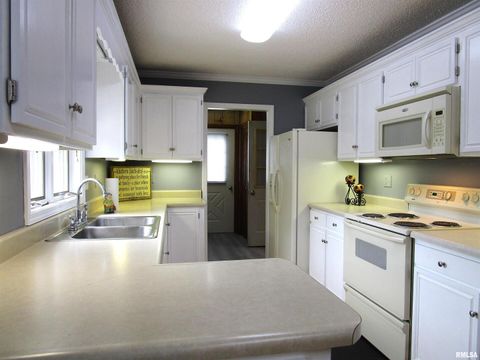 Tiny photo for 1253 County Road 800 E, Carmi, IL 62821 (MLS # EB457592)