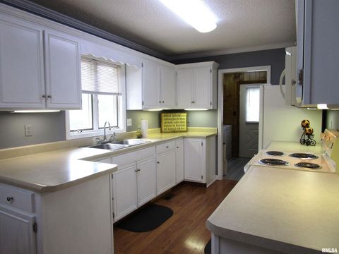 Tiny photo for 1253 County Road 800 E, Carmi, IL 62821 (MLS # EB457592)