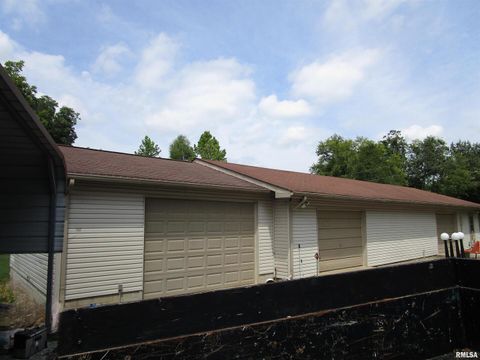 Tiny photo for 1253 County Road 800 E, Carmi, IL 62821 (MLS # EB457592)