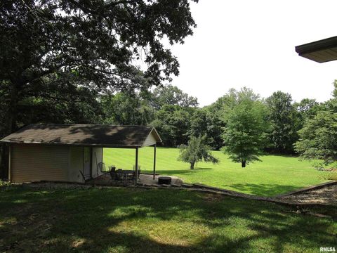 Tiny photo for 1253 County Road 800 E, Carmi, IL 62821 (MLS # EB457592)