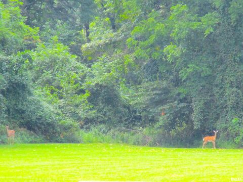 Tiny photo for 1253 County Road 800 E, Carmi, IL 62821 (MLS # EB457592)