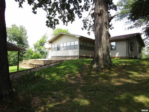 Tiny photo for 1253 County Road 800 E, Carmi, IL 62821 (MLS # EB457592)