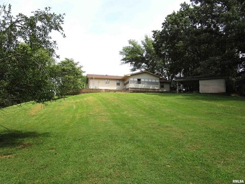 Tiny photo for 1253 County Road 800 E, Carmi, IL 62821 (MLS # EB457592)