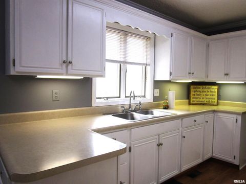 Tiny photo for 1253 County Road 800 E, Carmi, IL 62821 (MLS # EB457592)