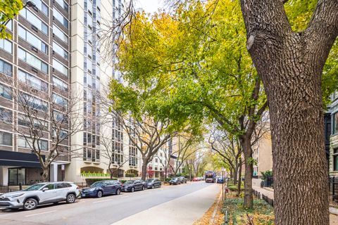 Tiny photo for 1340 N Dearborn Street #5C, Chicago, IL 60610 (MLS # 12517048)
