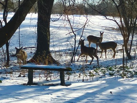 Tiny photo for 764 Boal Parkway, Winnetka, IL 60093 (MLS # 12451416)