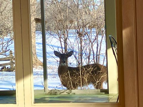 Tiny photo for 764 Boal Parkway, Winnetka, IL 60093 (MLS # 12451416)