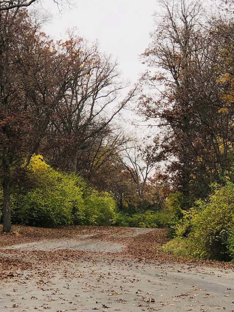 802 Echo (Lot 23) Trail