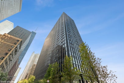 900 N Lake Shore Drive 514 Chicago IL 60611