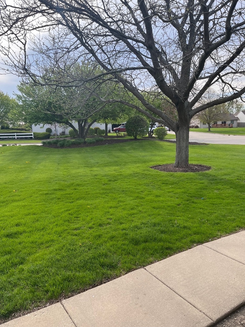570 Timber Drive