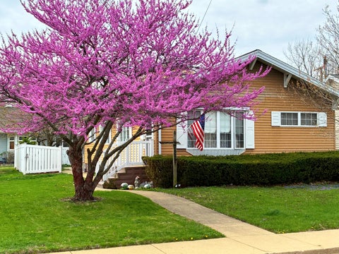 Tiny photo for 212 Sherman Street, Streator, IL 61364 (MLS # 12698875)
