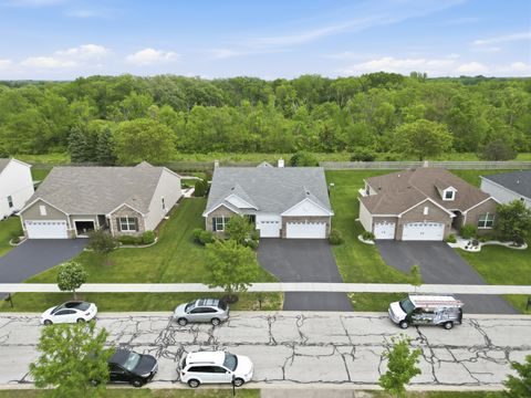 Photo of 15932 S Selfridge Circle, Plainfield, IL 60586 (MLS # 12651788)