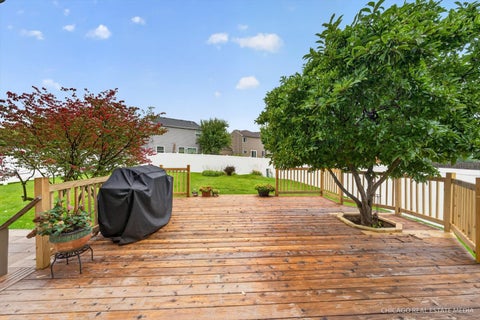 Tiny photo for 625 David Street, Lake In The Hills, IL 60156 (MLS # 12764658)