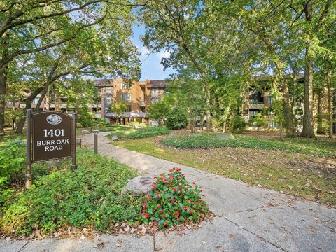 Photo of 1401 Burr Oak Road #202B, Hinsdale, IL 60521 (MLS # 12531447)
