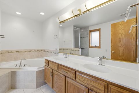 Tiny photo for 13616 Lost Boy Lane, Homer Glen, IL 60491 (MLS # 12658090)