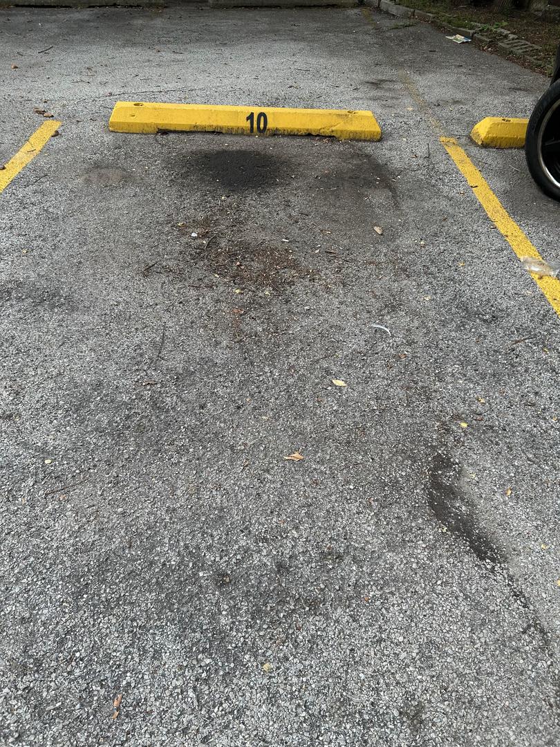 8847 La Crosse Avenue 204