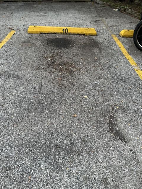 Tiny photo for 8847 La Crosse Avenue #204, Skokie, IL 60077 (MLS # 12623267)