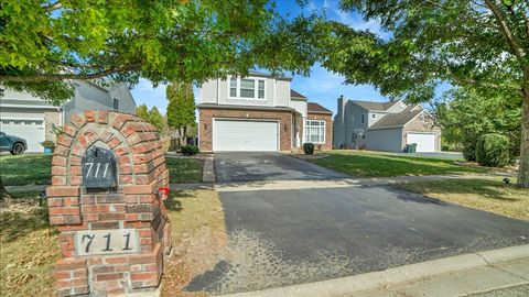 Tiny photo for 711 Blossom Court, Oswego, IL 60543 (MLS # 12571396)