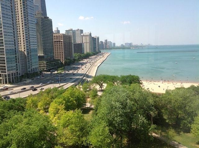 505 N Lake Shore Drive 1117