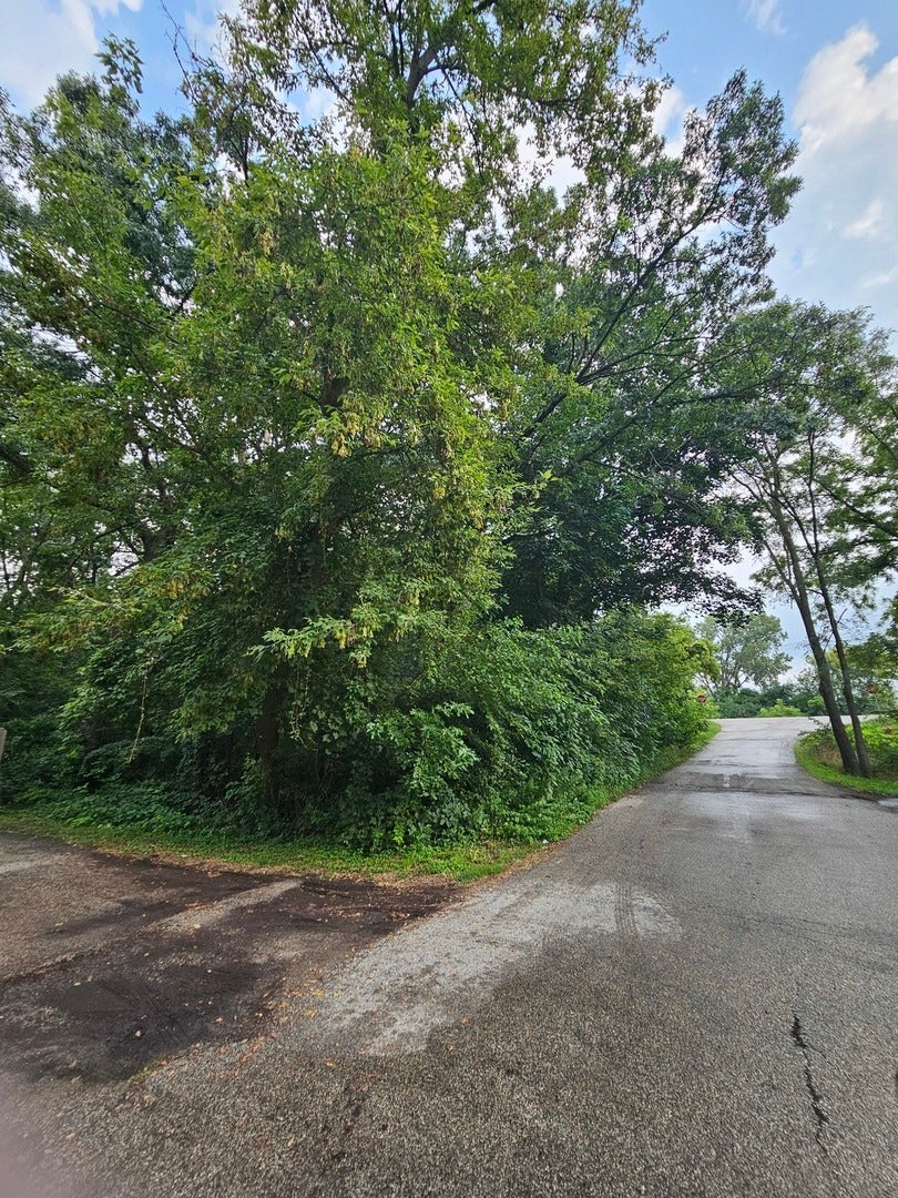 35 Ridgeland Avenue
