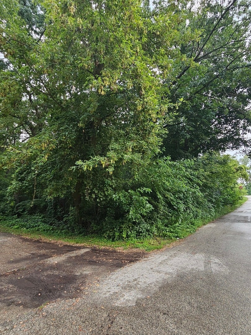 35 Ridgeland Avenue